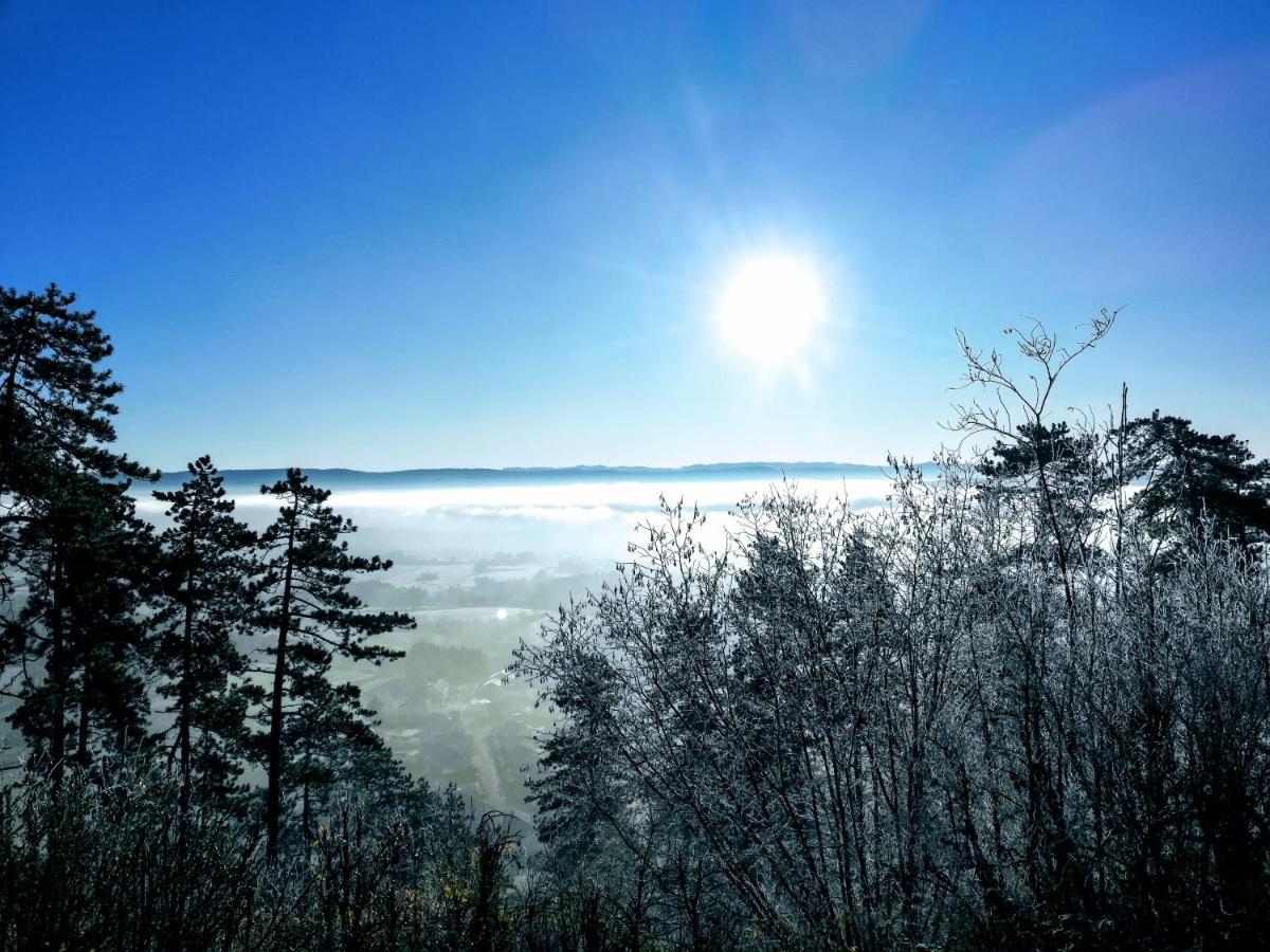 Appartement La Bernardine Au Coeur Du Jura Orgelet Екстериор снимка